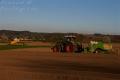 Plantation de PDT (Casterman)