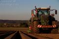 Plantation de PDT (Casterman)