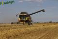 Moisson 2013