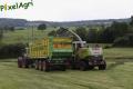 Ensilage d'herbe (Vital Laschet & fils)