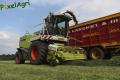 Ensilage d'herbe (Vital Laschet & fils)
