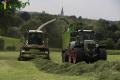 Ensilage d'herbe (Vital Laschet & fils)