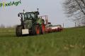 Sursemis de prairie (Schoonbroodt)