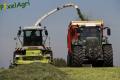 Ensilage d'herbe (Ruwet)