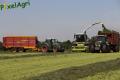 Ensilage d'herbe (Ruwet)