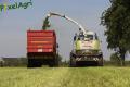 Ensilage d'herbe (Ruwet)
