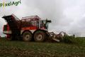 Arrachage de betteraves (Herens)