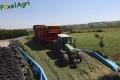 Ensilage d'herbe (Ruwet)