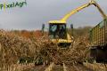 Ensilage de maïs (Schoonbroodt)