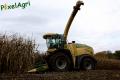 Ensilage de maïs (Schoonbroodt)