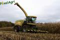 Ensilage de maïs (Schoonbroodt)