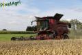 Moisson 2013