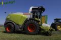 Ensilage d'herbe (Lacroix)