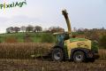 Ensilage de maïs (Schoonbroodt)