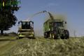 Ensilage d'herbe (Lacroix)