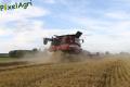 Moisson 2013