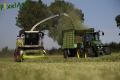 Ensilage d'herbe (Lacroix)