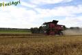 Moisson 2013