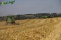 Moisson (Fortemps)