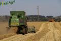 Moisson (Fortemps)