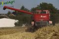 Moisson (Herens)
