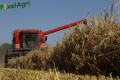 Moisson (Herens)