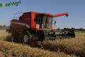 Moisson (Herens)