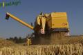 Moisson (Herens)