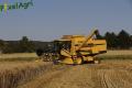 Moisson (Herens)