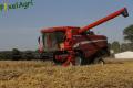 Moisson (Herens)