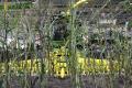 Agritechnica