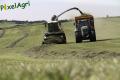 Ensilage d'herbe 2013 (Vital Laschet & fils)