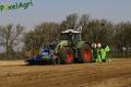 Plantation de PDT (Herens)