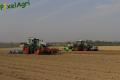 Plantation de PDT (Herens)