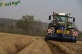 Plantation de PDT (Herens)