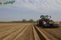 Plantation de PDT (Herens)