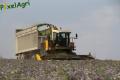 Ensilage de luzerne