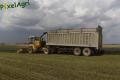 Ensilage de luzerne