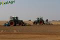 Plantation de PDT (Fortemps)