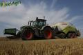 Moisson 2014