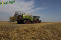 Moisson 2014