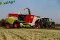 Ensilage d'herbe (Ruwet)