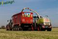 Ensilage d'herbe (Ruwet)