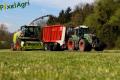 Ensilage d'herbe (Ruwet)