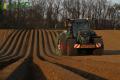 Plantation de PDT (Casterman)