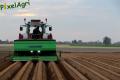 Plantation de PDT (Fortemps)