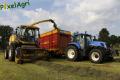 Herens à l'ensilage d'herbe