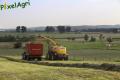 Ensilage d'herbe (Herens)