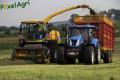 Ensilage d'herbe (Herens)