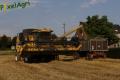 Moisson (Esser)